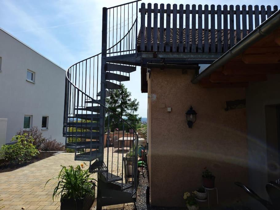 Blick Ueber Dresden - Terrasse - 3 Zimmer - Modern Renoviert エクステリア 写真